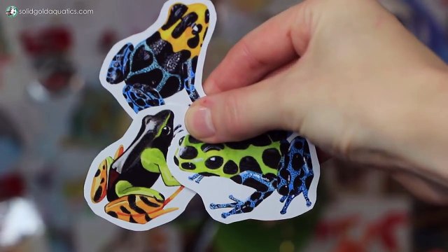 FAN MAIL UNBOXING + answering your questions