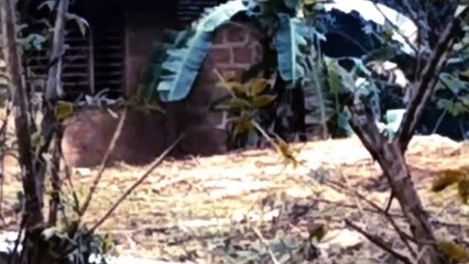 Creepy Girl Ghost Found Near A Haunted House, Scary Videos