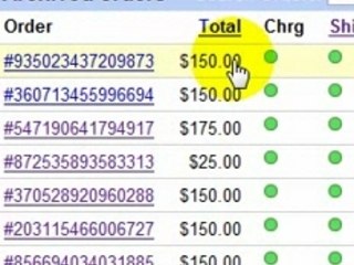 The Little Guy Network Income Proof