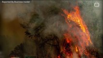 Wildfire In Northern California Creates 'Fire Vortex'