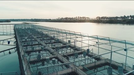 محمد السالم - ويلي عل قلب (قريبا) | 2018 | (Mohamed Alsalim - Wallie Ala Qalb (SOON