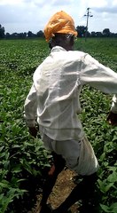 Best Old Man Dance 2018 || सबसे अछा बूढ़े आदमी का डांस