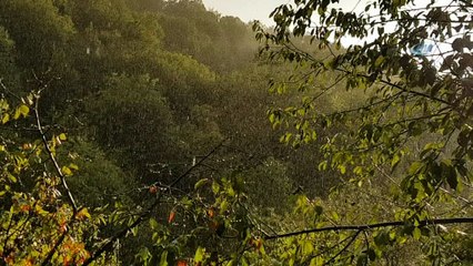 Sağanak yağış yol kapattı