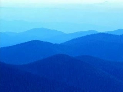 le coran sourat al-rahman 55