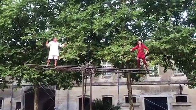 Cirque Hirsute Les Butors