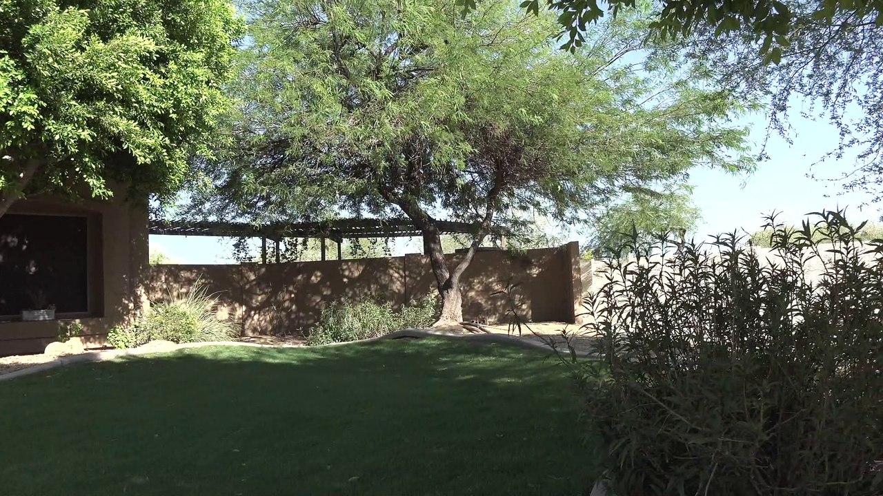 Tree Falls While Home Is For Sale
