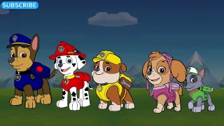 Paw Patrol Finger Family Song Paw Patrol Daddy Finger Song