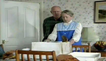 One Foot In The Grave S03 E05