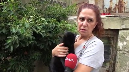 İzmir'de kedi kavgası: Sokakta hayvan besleyen kadına küfür edip tehdit ettiler