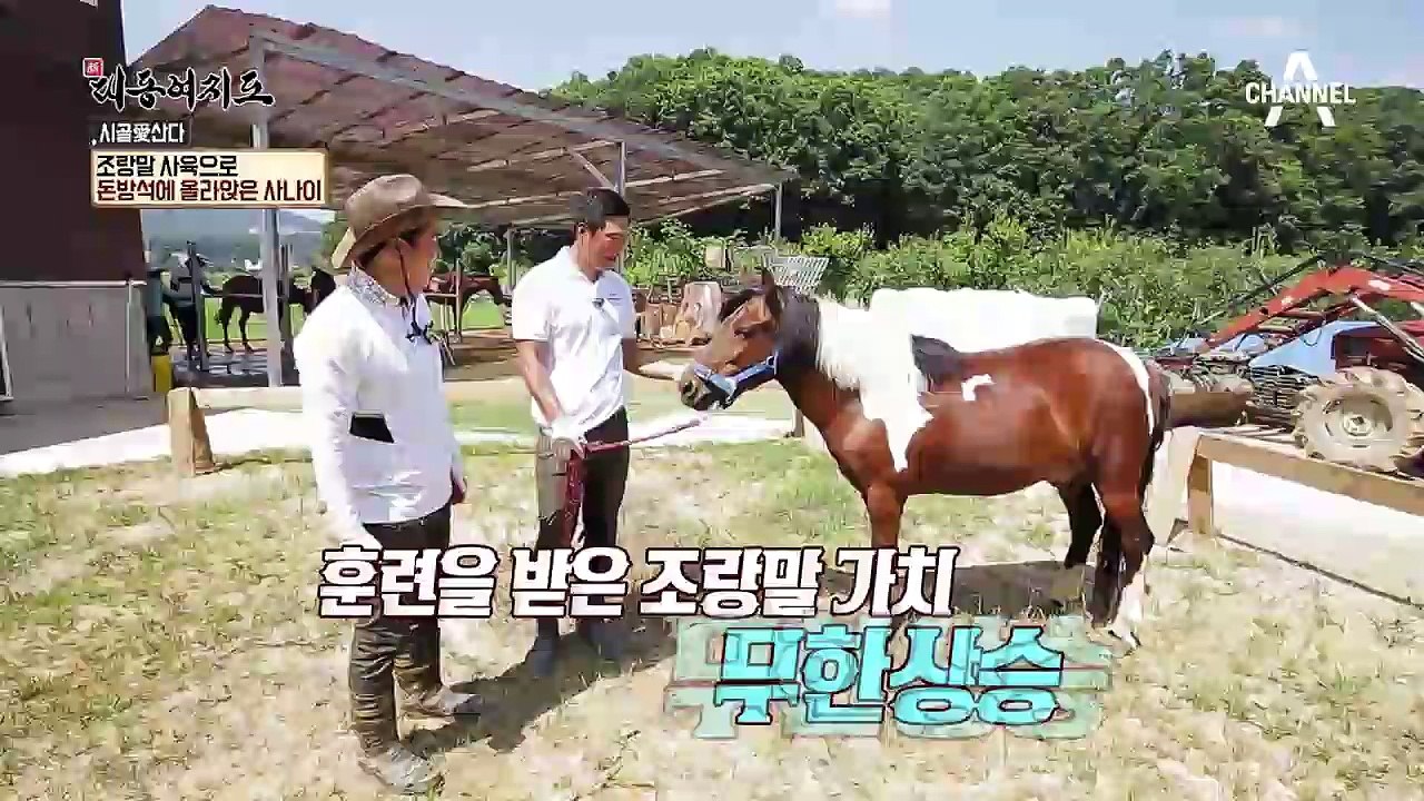 일반 말의 3배가 넘는 가격! 조랑말 분양으로 연 매출 4억 원 달성?