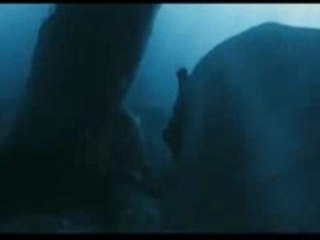 THE WATER HORSE Video Blog # 9 “Sinead O'Connor”