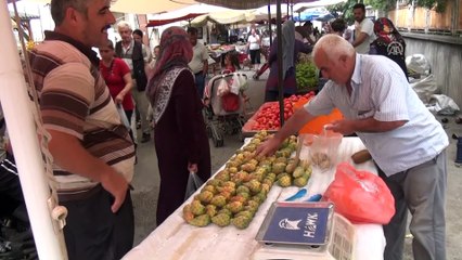 Dikenli incir, tezgahlarda yerini aldı - OSMANİYE