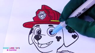 Nickelodeon Marshall Paw Patrol Coloring Page! Fun Coloring Activity for Kids Toddlers Chi