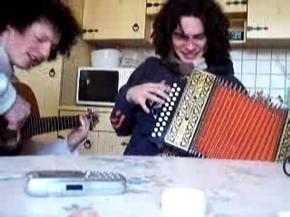 Toxicity - guitare et accordéon diatonique