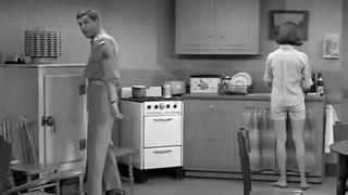 The Dick Van Dyke Show s S05E20 Remember The Alimony