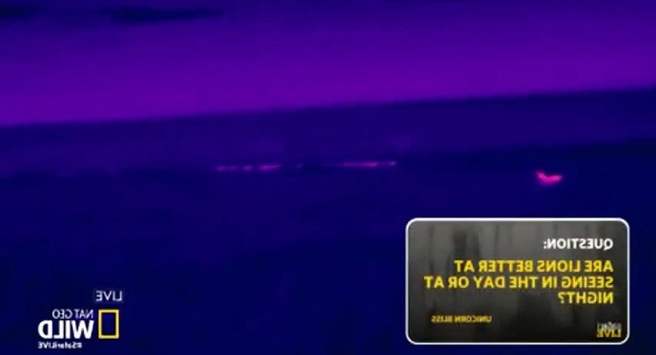 Safari Live Migration S01  E04 S 1, E 4 - Part 05