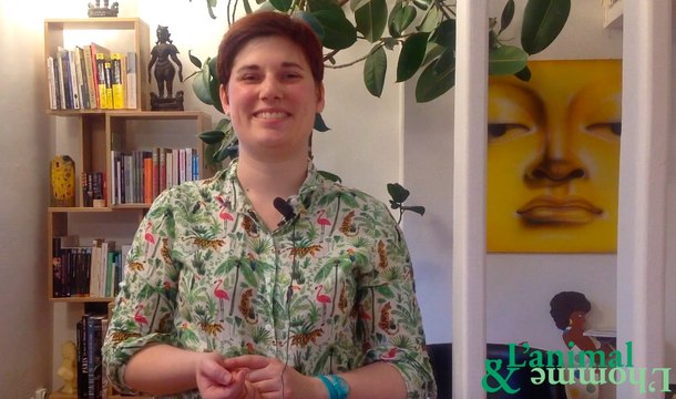 Les oiseaux arrêtons de les prendre pour des pigeons