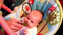 Babies Eating Pickles for the First Time Compilation