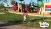 Kids fun playtime at playground and dog park with Ryans Family Review