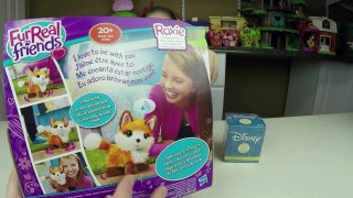 FurReal Friends Pet Fox Toy Review | Plus a Kinder Surprise Egg & Disney Princess Blind Bo