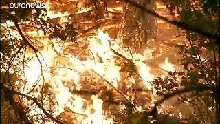 Μαίνονται ανεξέλεγκτες οι πυρκαγιές στην Καλιφόρνια