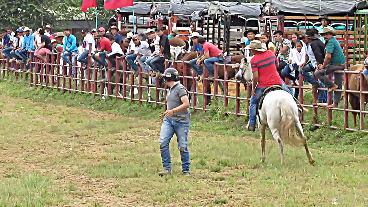 MUNDIAL DE COLEO