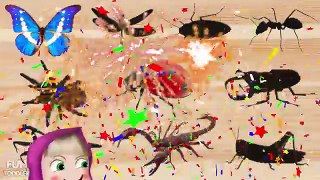 Insects Wrong Wooden Slots | Finger Family Nursery Rhymes | Videos For Children Kids Learning