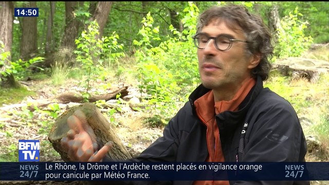 Les aventuriers de l'été: Lionel Daudet