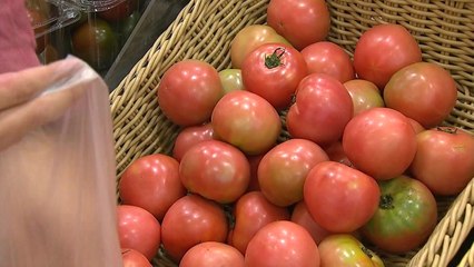 정부 관리물가 빼면 물가상승률 2% 이상 / YTN