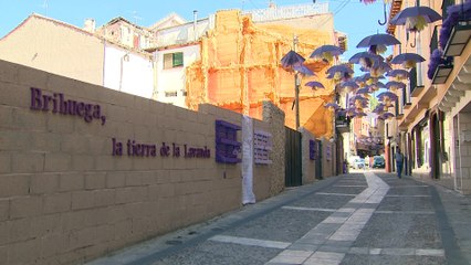 La Floración de la Lavanda convierte a Brihuega en un reclamo turístico