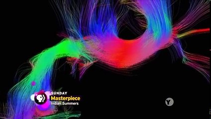 The Brain With Dr. David Eagleman S01 E06