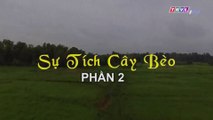 Sự tích cây bèo - Phần 2 (Hết) | Cổ tích Việt Nam