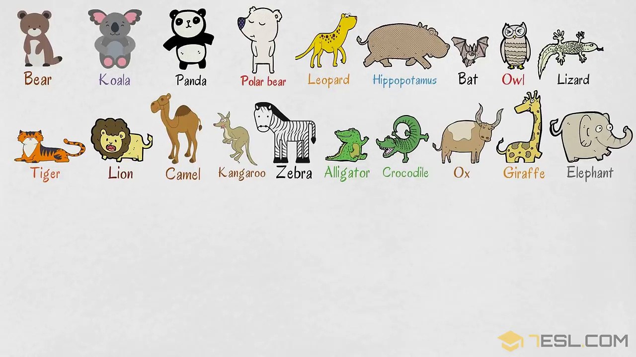Kids Vocabulary Learn Wild Animal Names | Wild Animals Vocabulary in English