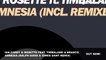 Ian Carey & Rosette feat. Timbaland & Brasco Amnesia (Ralph Good & Chris Gant Remix)