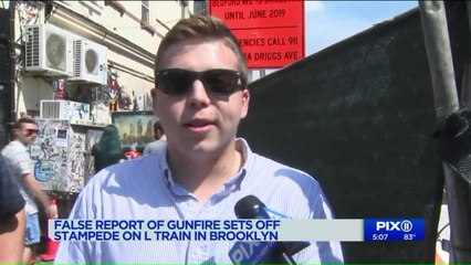 False Reports of Gunfire Cause `Stampede` at Brooklyn Train Station