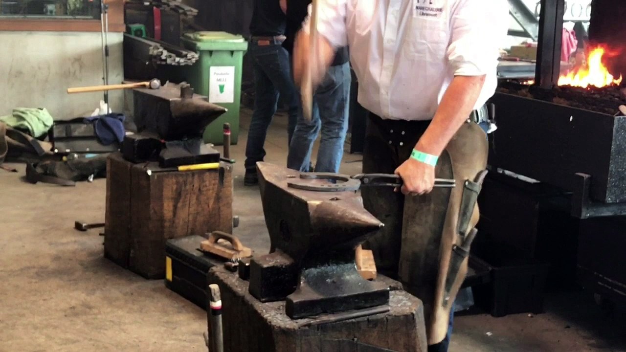Démonstrations de ferrage de chevaux à la Foire agricole de Libramont 2018