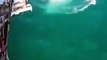 Ce soldat saute à l'eau et un requin tente de le mordre immédiatement ! Marine Française - 2018