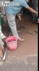 Mordu par un serpent... qu'il avait capturé !! L'idiot..