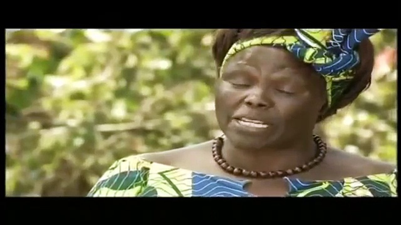 Kenyan Environment Warrior - Wangari Muta Maathai -The Hummingbird (1940 - 2011)