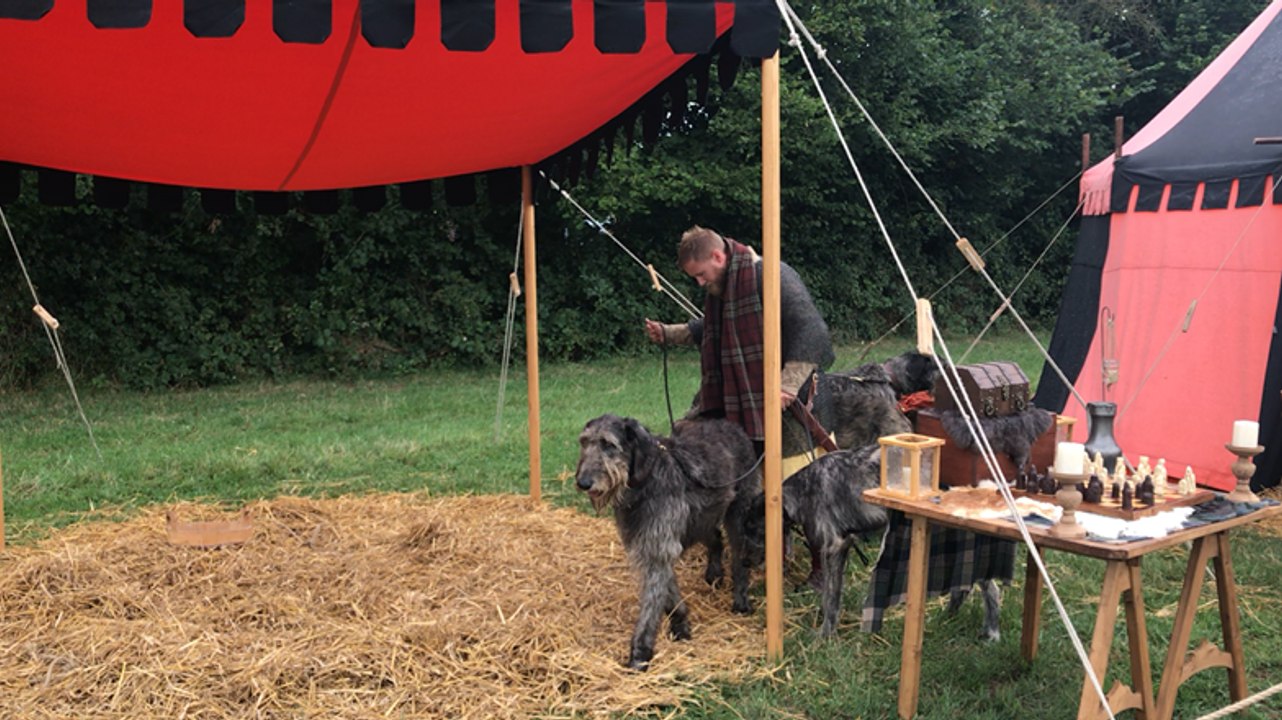 Fête de la Nature au parc animalier Dame blanche