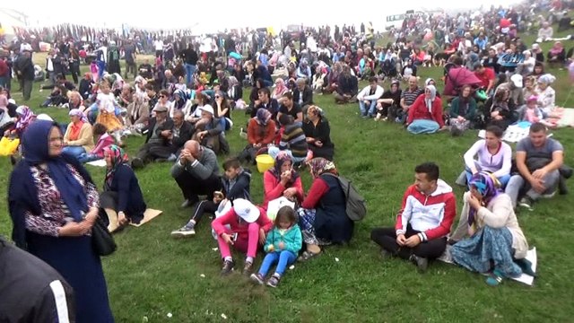 Çambaşı Yaylası Festivali 2'nci gününde...Yarışmada dereceye giren buzağı ve kuzular ödüllendirildi