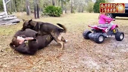 وفاء الحيوانات لأصحابها  || سبحان الله