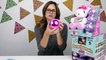 Surprizamals and LOL Surprise Toy Opening _ Toy Review by DCTC Amy Jo