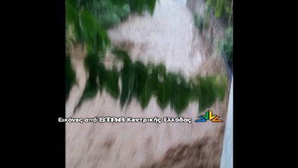 Δείτε πως ο ορμητικός χείμαρρος πέρασε μέσα από τα Στύρφακα.