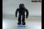 ROBOTIS Humanoid robot, DARwIn-OP - Jumping & Running