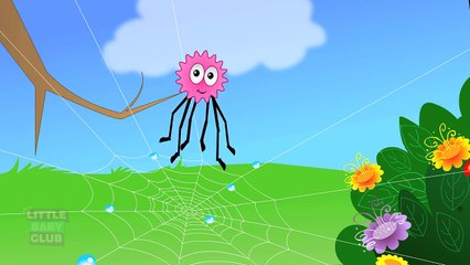 Incy Wincy Spider | Kids baby club nursery rhymes | Songs for children | Animation rhyme