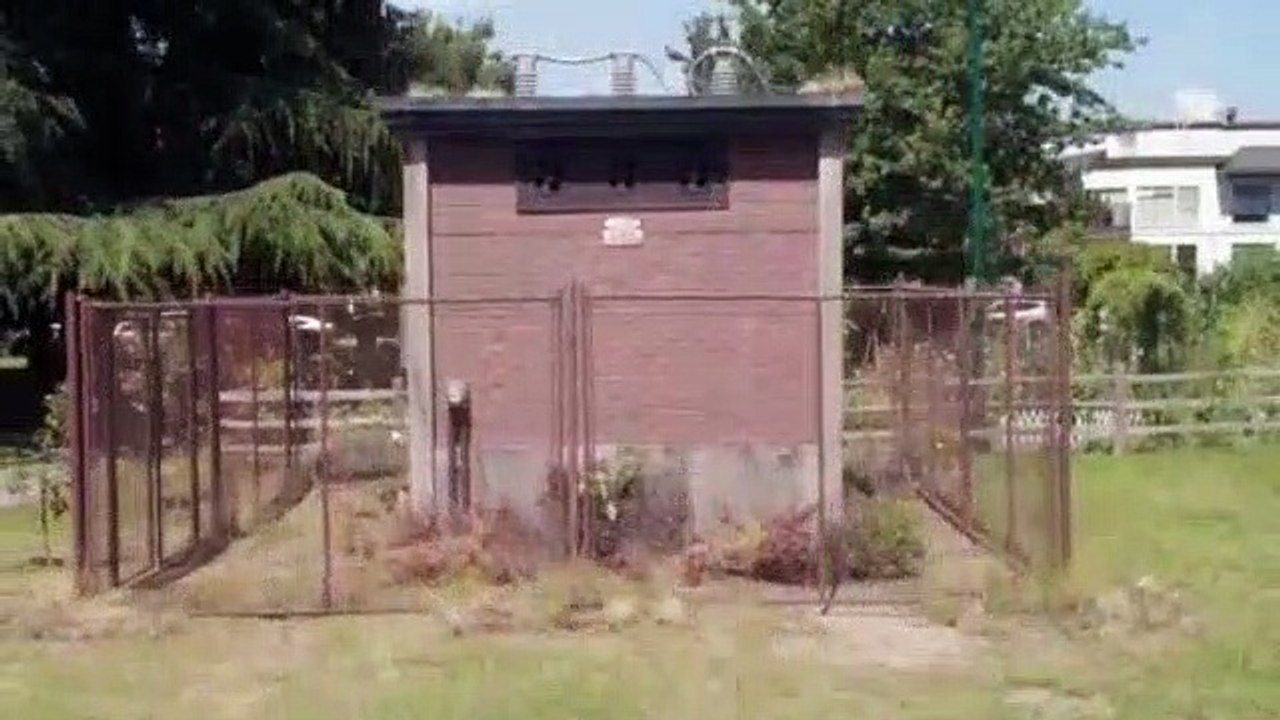 Dirk Gentlys Holistic Detective Agency S01E04 - Watkin