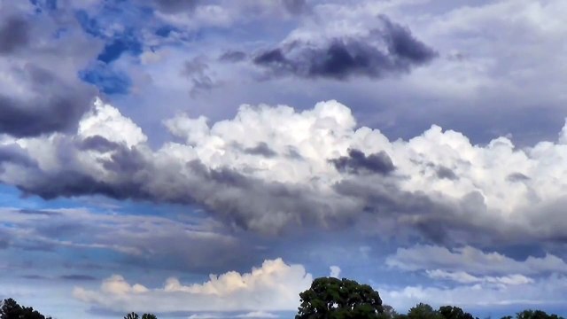 Creative Commons Puffy clouds and Trees Time Lapse Video