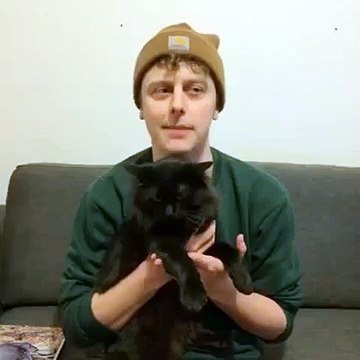 Norman Les chats Norman fait des vidéos il frappe son ami