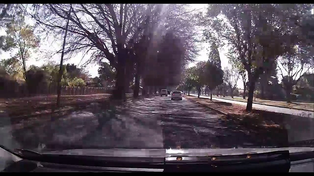 NoJack BabyBeast takes down vehicle thieves